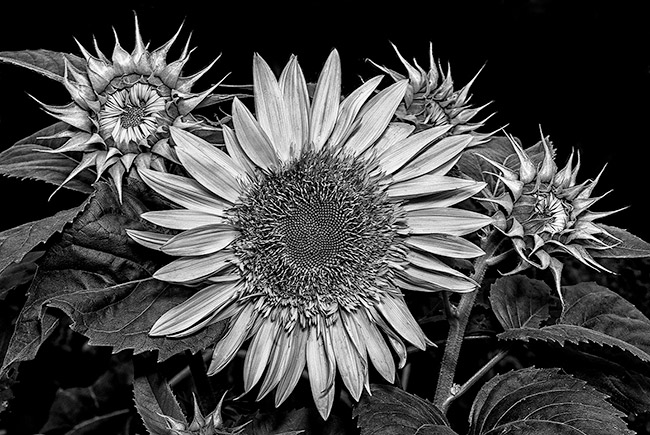 photography by Barry Guthertz