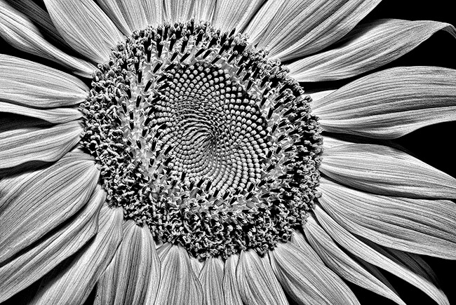 photography by Barry Guthertz