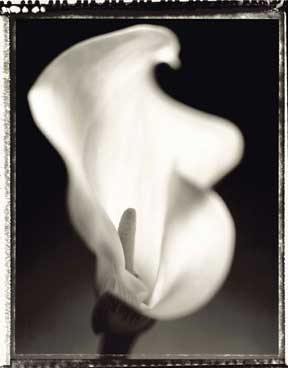 photography by Jeff Harris