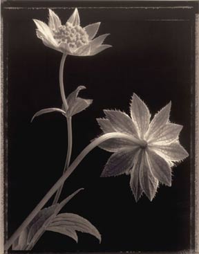 photography by Jeff Harris