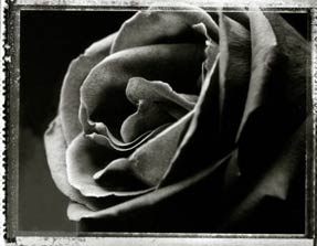 photography by Jeff Harris