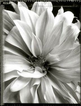 photography by Jeff Harris