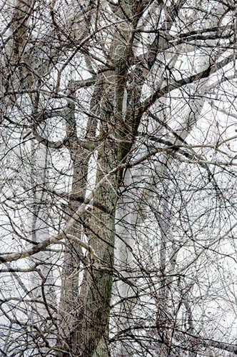 photography by Nancy Hellebrand