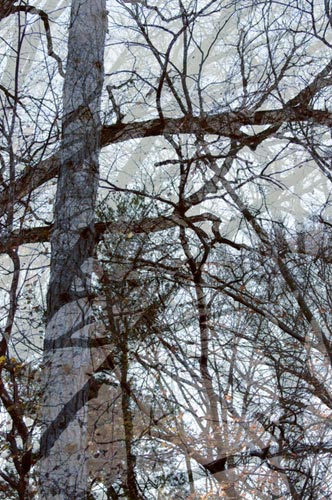 photography by Nancy Hellebrand