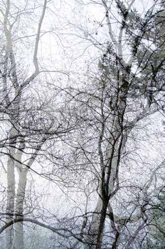 photography by Nancy Hellebrand