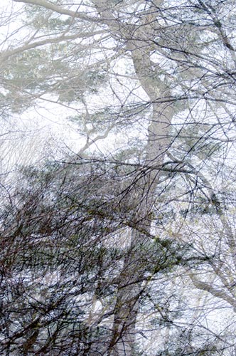 photography by Nancy Hellebrand
