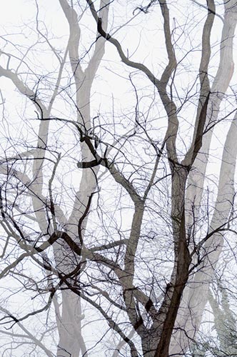 photography by Nancy Hellebrand