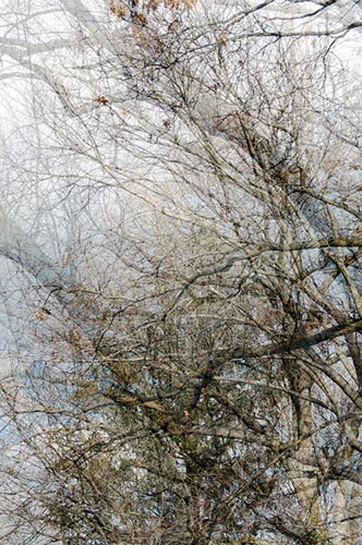photography by Nancy Hellebrand