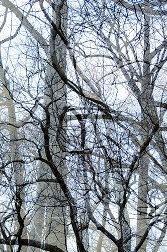photography by Nancy Hellebrand