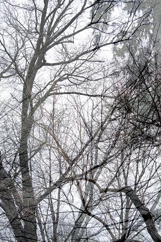 photography by Nancy Hellebrand