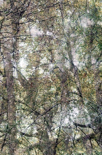 photography by Nancy Hellebrand