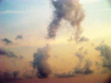 photography by Nancy Hellebrand