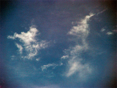 photography by Nancy Hellebrand