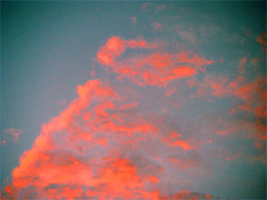 photography by Nancy Hellebrand
