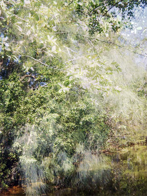 photography by Nancy Hellebrand