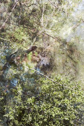 photography by Nancy Hellebrand