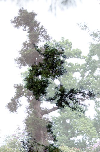photography by Nancy Hellebrand