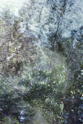 photography by Nancy Hellebrand