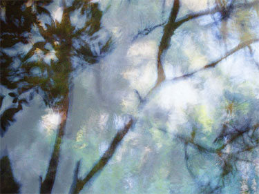 photography by Nancy Hellebrand