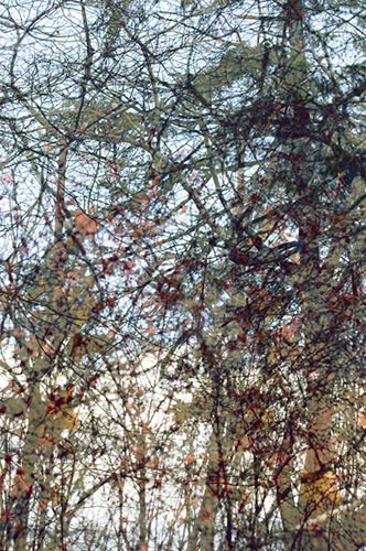 photography by Nancy Hellebrand