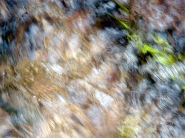 photography by Nancy Hellebrand