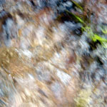 Streams