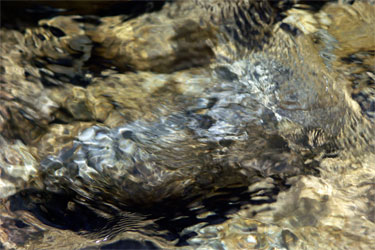 photography by Nancy Hellebrand