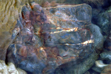 photography by Nancy Hellebrand
