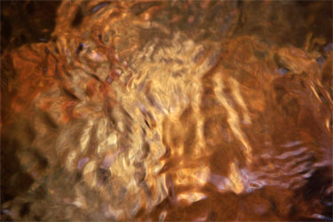 photography by Nancy Hellebrand