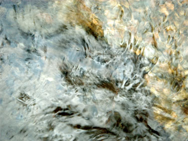 photography by Nancy Hellebrand