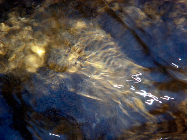 photography by Nancy Hellebrand