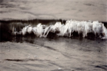 photography by Nancy Hellebrand