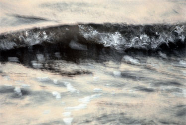 photography by Nancy Hellebrand
