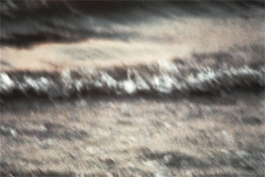 photography by Nancy Hellebrand