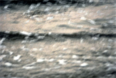photography by Nancy Hellebrand