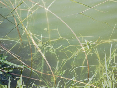 photography by Nancy Hellebrand