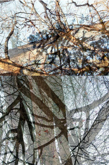 photography by Nancy Hellebrand