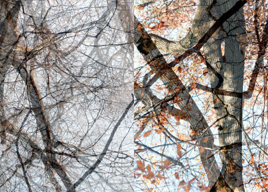 photography by Nancy Hellebrand