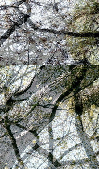 photography by Nancy Hellebrand