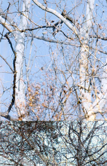 photography by Nancy Hellebrand