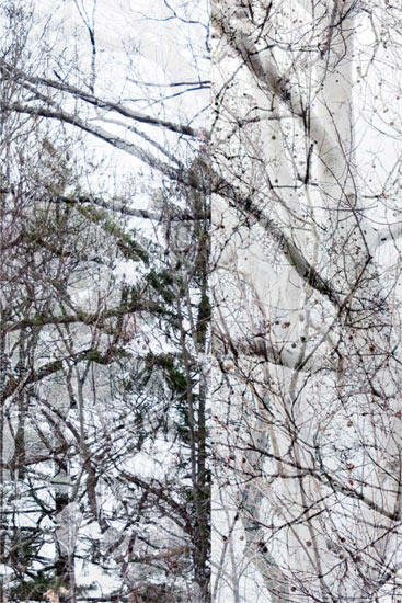 photography by Nancy Hellebrand