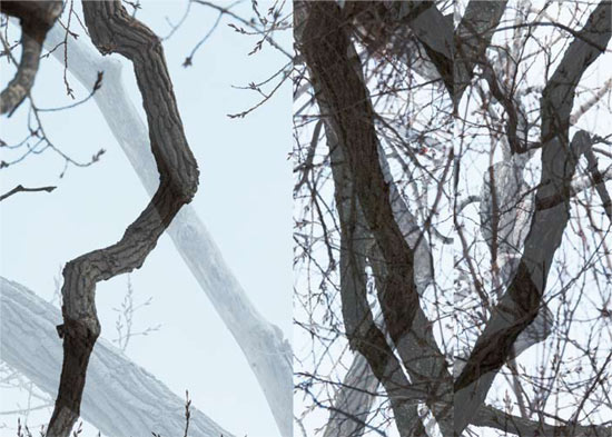 photography by Nancy Hellebrand