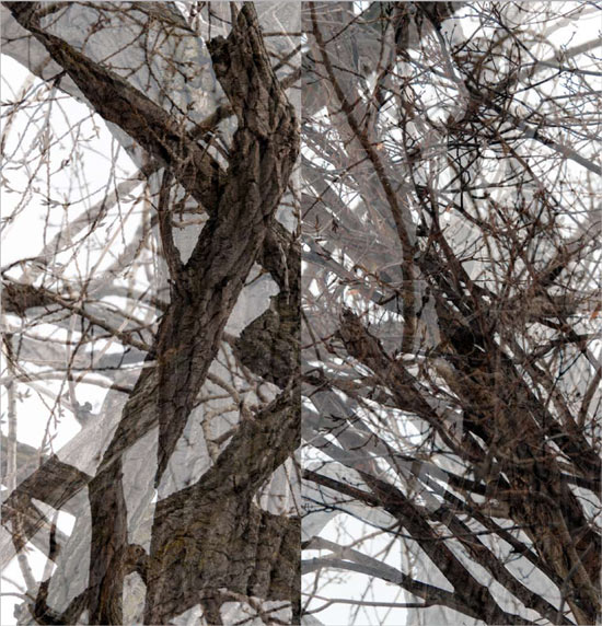 photography by Nancy Hellebrand