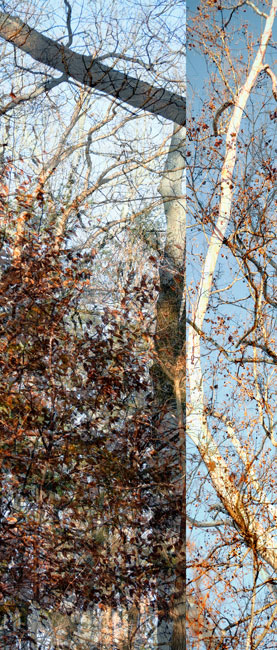 photography by Nancy Hellebrand