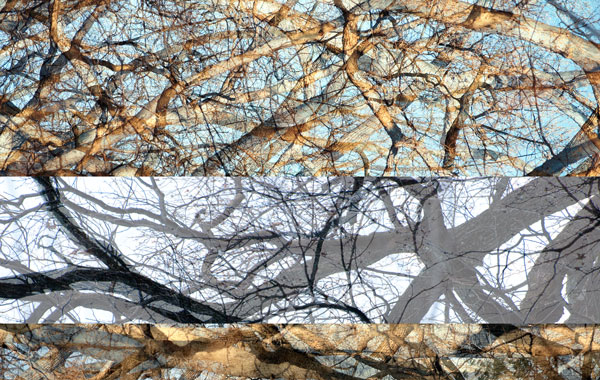 photography by Nancy Hellebrand