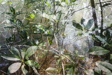 photography by Nancy Hellebrand
