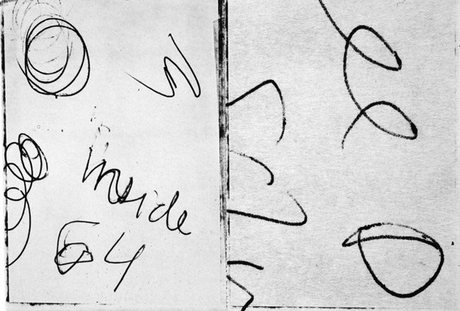 photography by Nancy Hellebrand