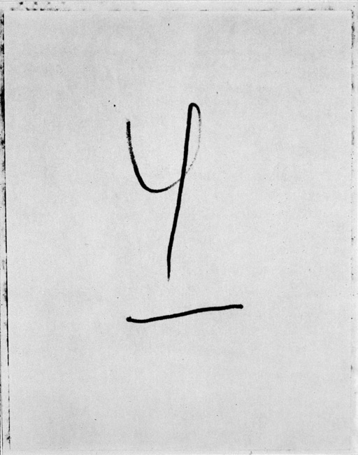 photography by Nancy Hellebrand