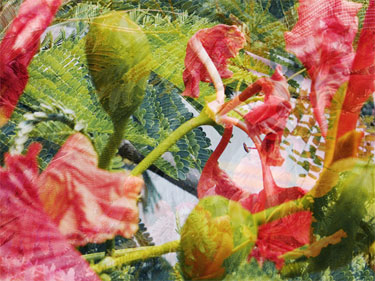 photography by Nancy Hellebrand