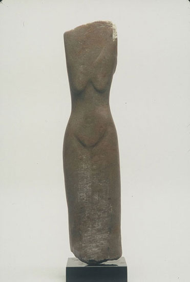 photography by Wendy Hendelman